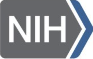 Publication icon